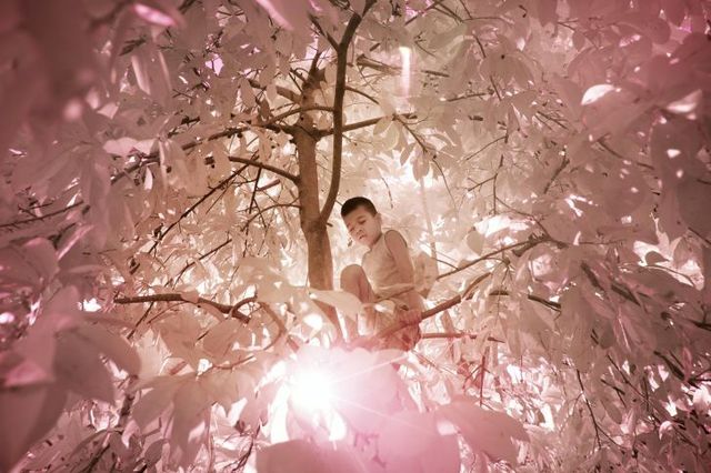 Як виглядає життя на острові людей-дальтоніків: вражаючі фото - фото 208733