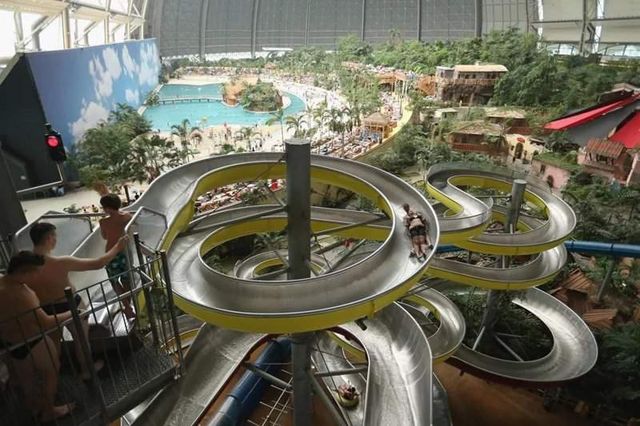 Цей величезний ангар приховує справжній тропічний рай - фото 207232