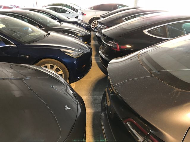 На стоянці в США виявили кілька десятків Tesla Model 3: фотофакт - фото 209550