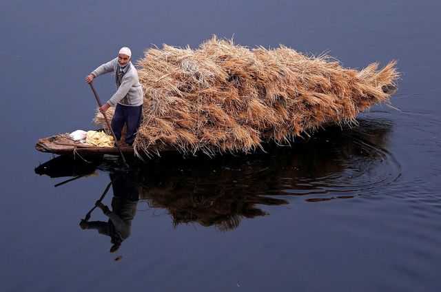 Як виглядають звичайні будні в Індії: вражаючі фото - фото 211318