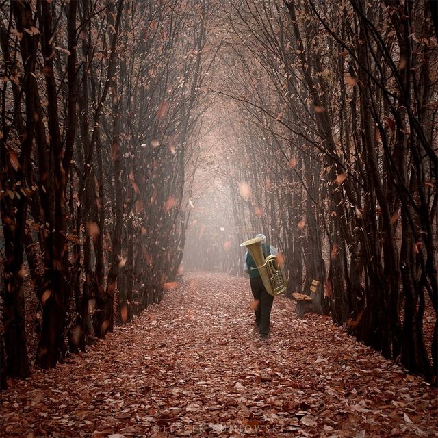 На межі з реальністю: світ в об'єктиві польського фотографа - фото 210432