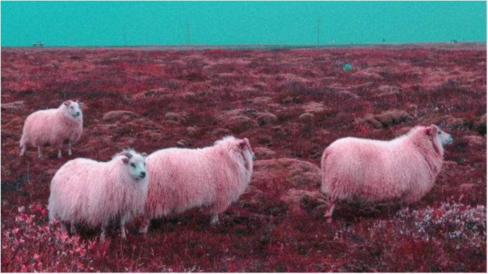 Фотограф показав інопланетні пейзажі Ісландії