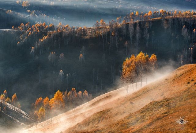 Містичні фото Трансільванії, від яких перехоплює дух - фото 206283
