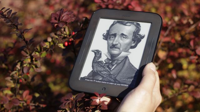 Електронна книжка: велика бібліотека у тебе в кишені - фото 207064