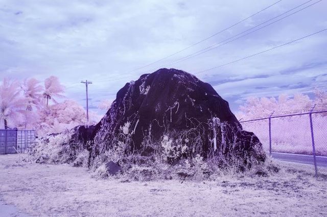 Як виглядає життя на острові людей-дальтоніків: вражаючі фото - фото 208730