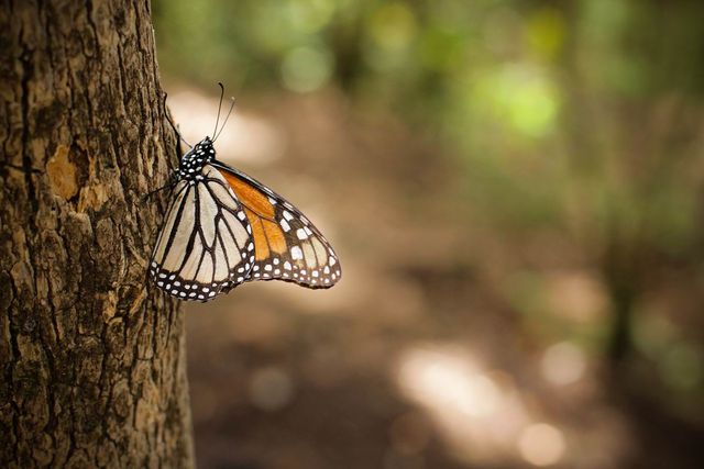 Як глобальне потепління вплине на туризм - фото 208715