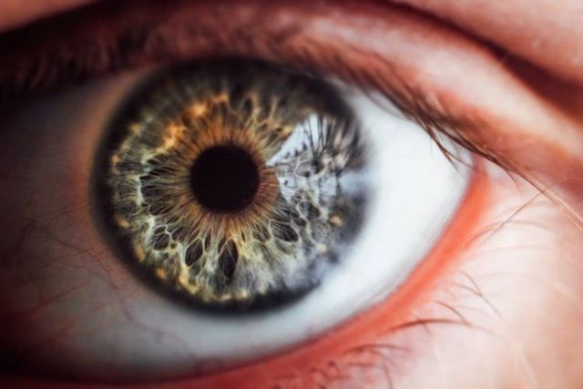 Як виглядають найкрасивіші очі - фото 209118