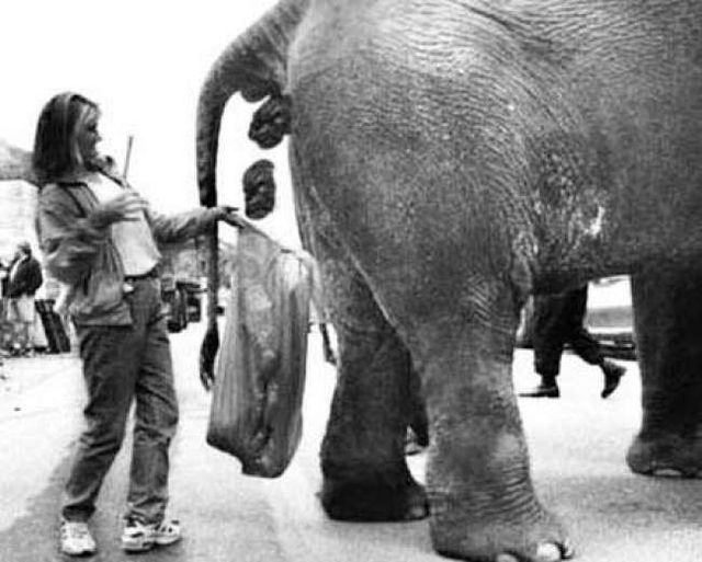 Так виглядають найжахливіші професії у світі - фото 209198