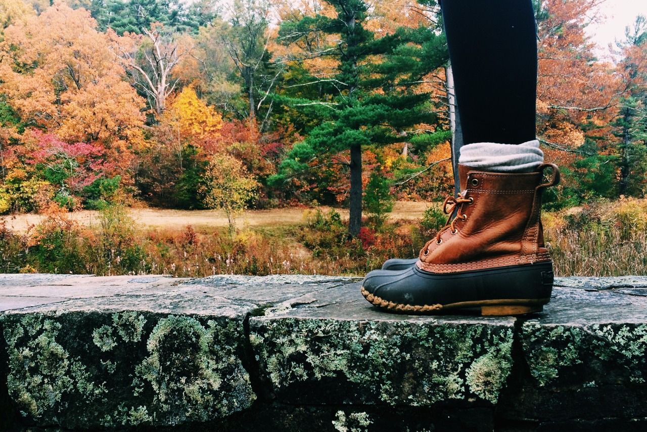 Синоптик сказала, яку погоду очікувати цього тижня