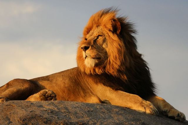 Перехоплює дух! National Geographic показав найкращі фото природи за 2017 рік - фото 207370