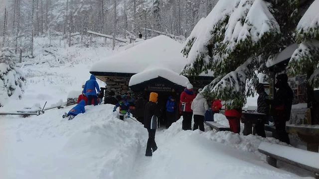 Свято наближається: як виглядають Татри у снігу - фото 206879