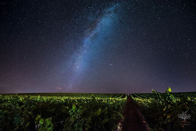 Містичні фото Трансільванії, від яких перехоплює дух - фото 206289