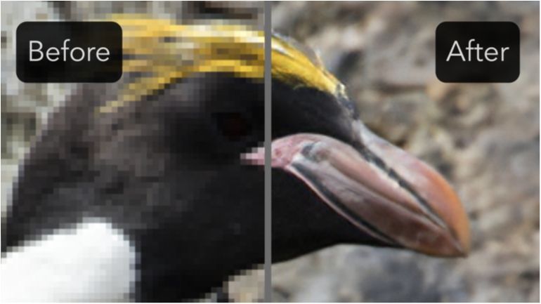 Українці створили сайт, який перетворює неякісні фото на гарні