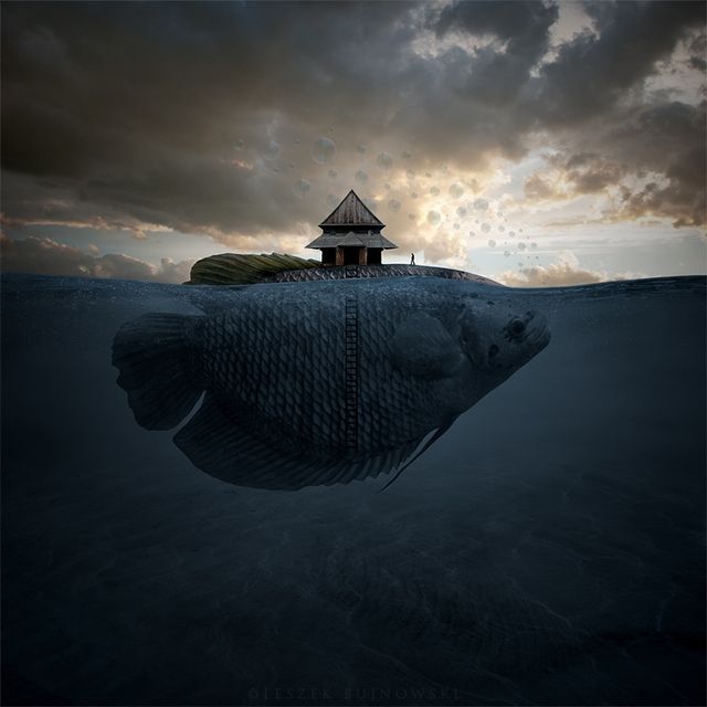 На межі з реальністю: світ в об'єктиві польського фотографа - фото 210424