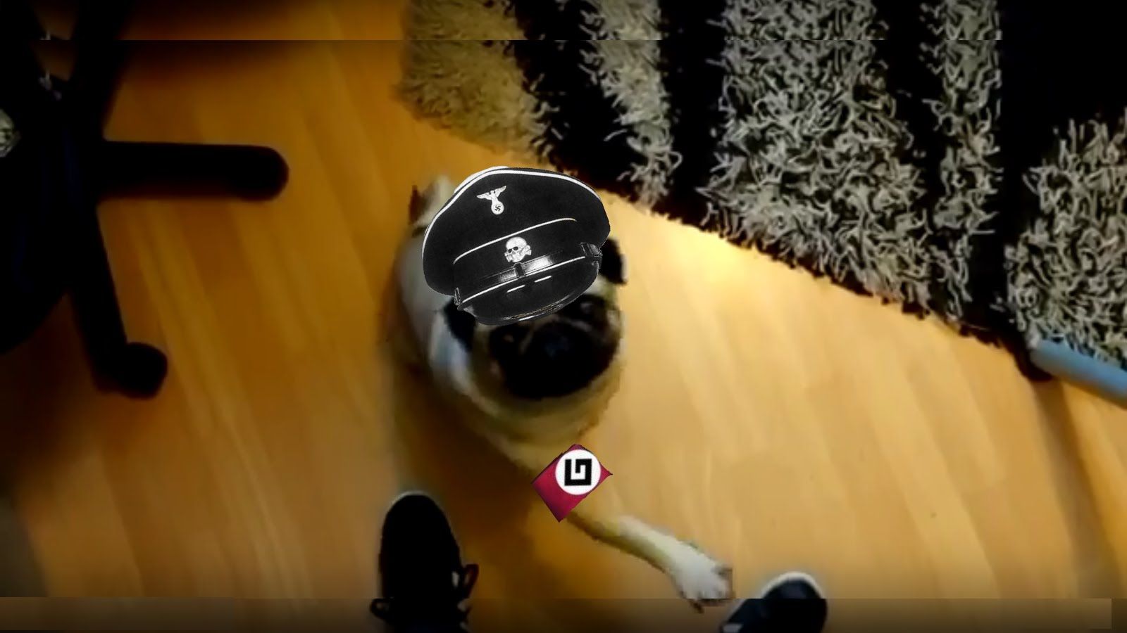 Шотландця судять за те, що навчив собаку зігувати: відеофакт