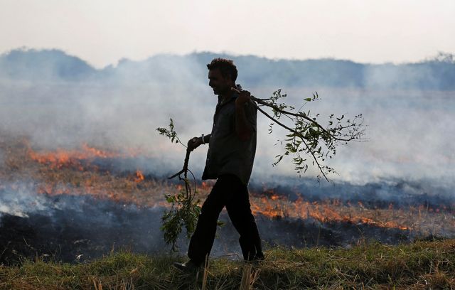 Як виглядають звичайні будні в Індії: вражаючі фото - фото 211313