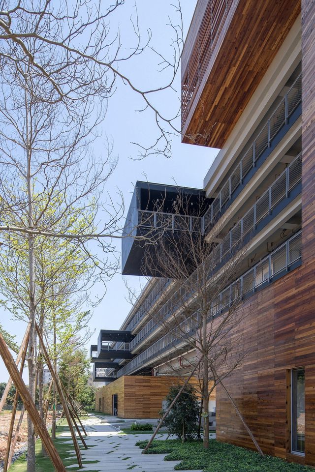 Мрія студентів: як виглядає гуртожиток у провінції Китаю - фото 211060