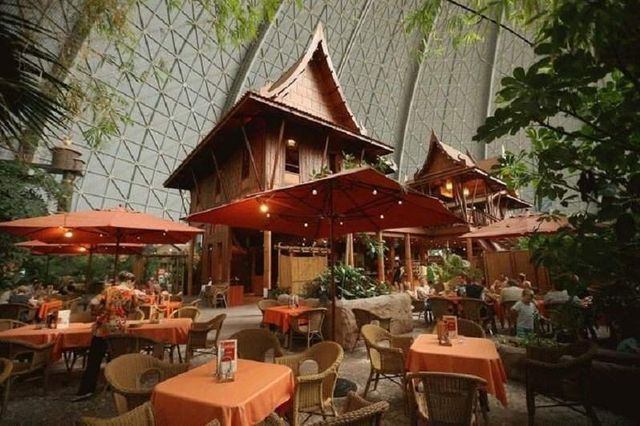 Цей величезний ангар приховує справжній тропічний рай - фото 207233