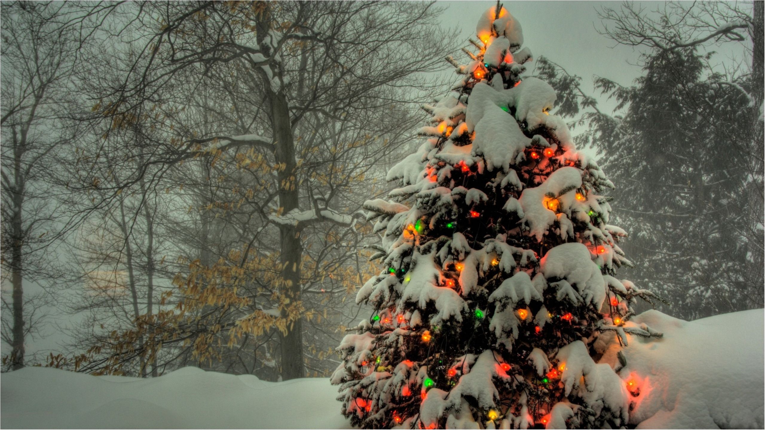 У Харкові вже почали монтувати новорічну ялинку