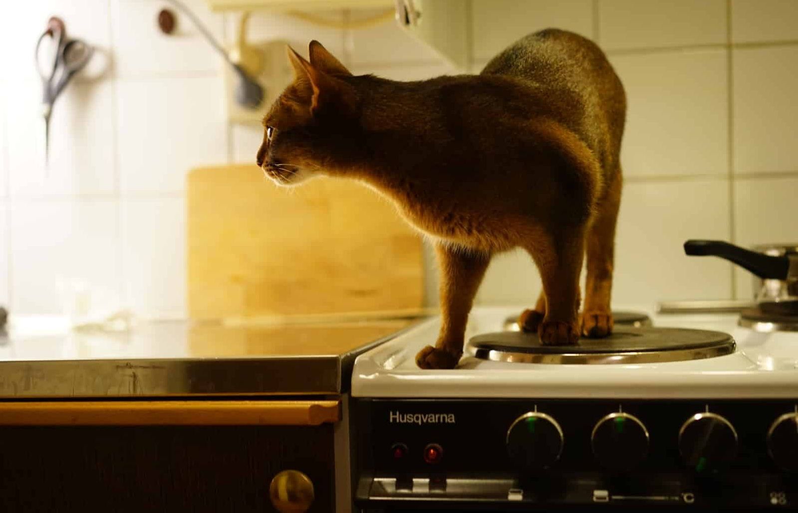 Експерти назвали причину нав'язливих думок