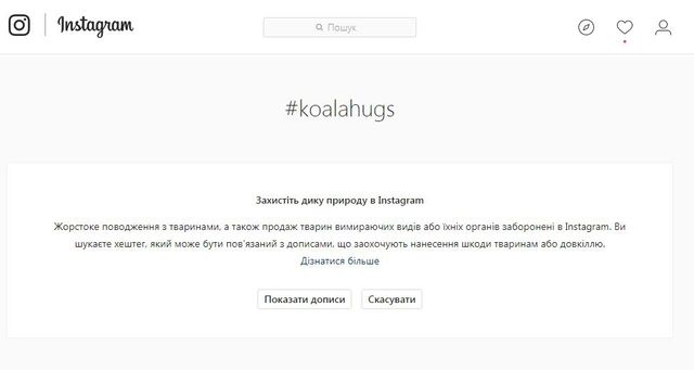 В Instagram з'явилась нова заборона на фото - фото 213292