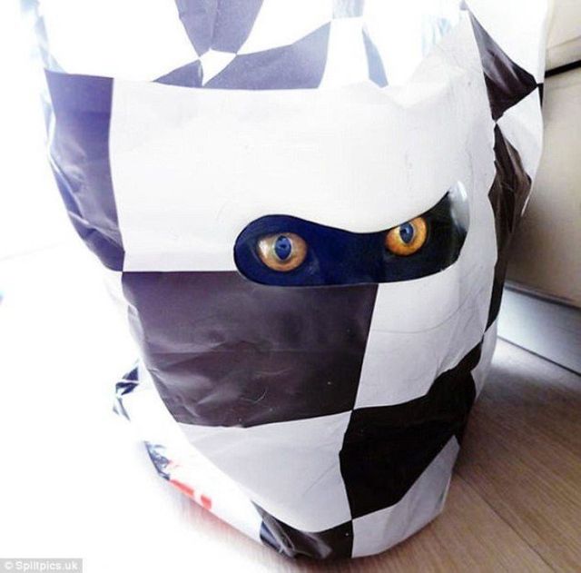 Ідеальне місце для стеження - фото 212538