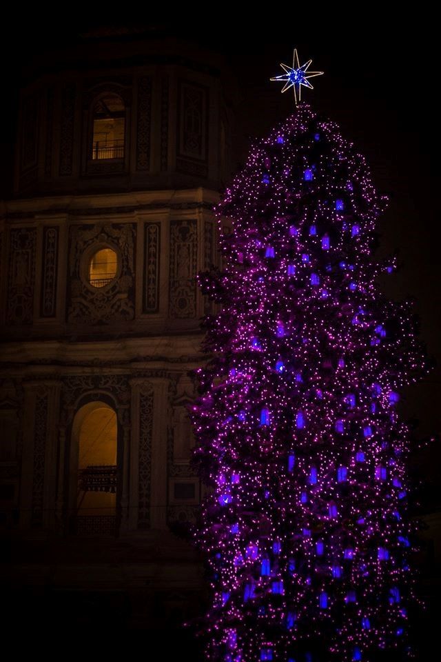 Новорічний Київ- фото 215918