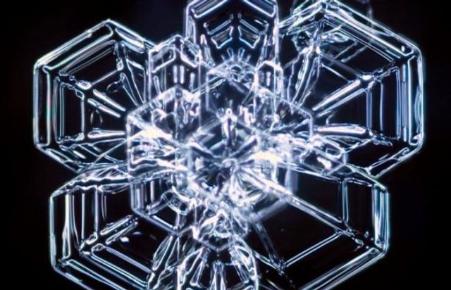 У каліфорнійській лабораторії виростили найбільшу в світі сніжинку - фото 217827