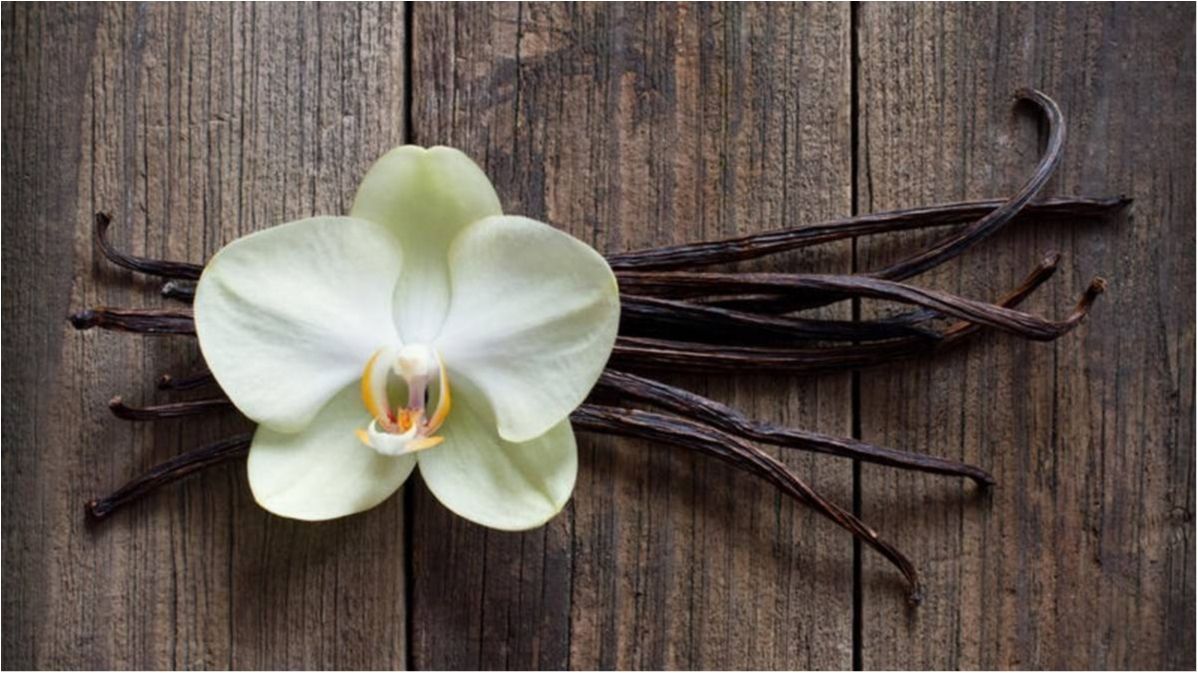 Вчені назвали секретну зброю проти страшного захворювання