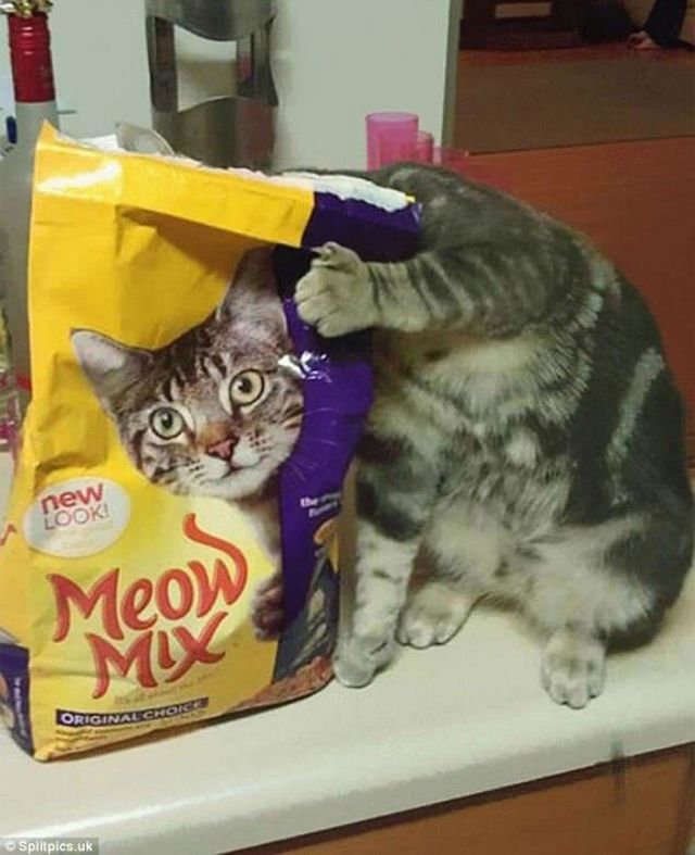 Ідеальна співпадіння - фото 212545