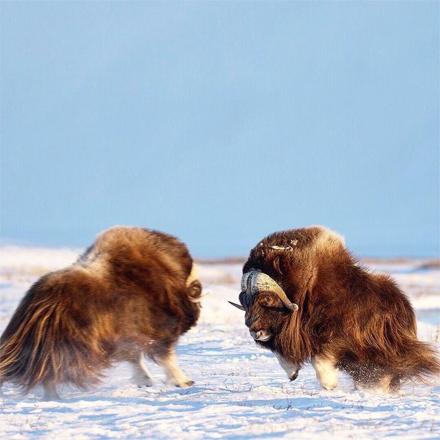 Florian Schulz - фото 217191