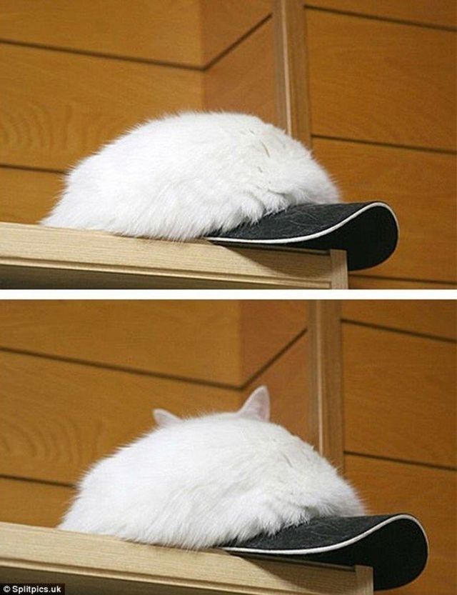 Справді тепла кепка - фото 212543