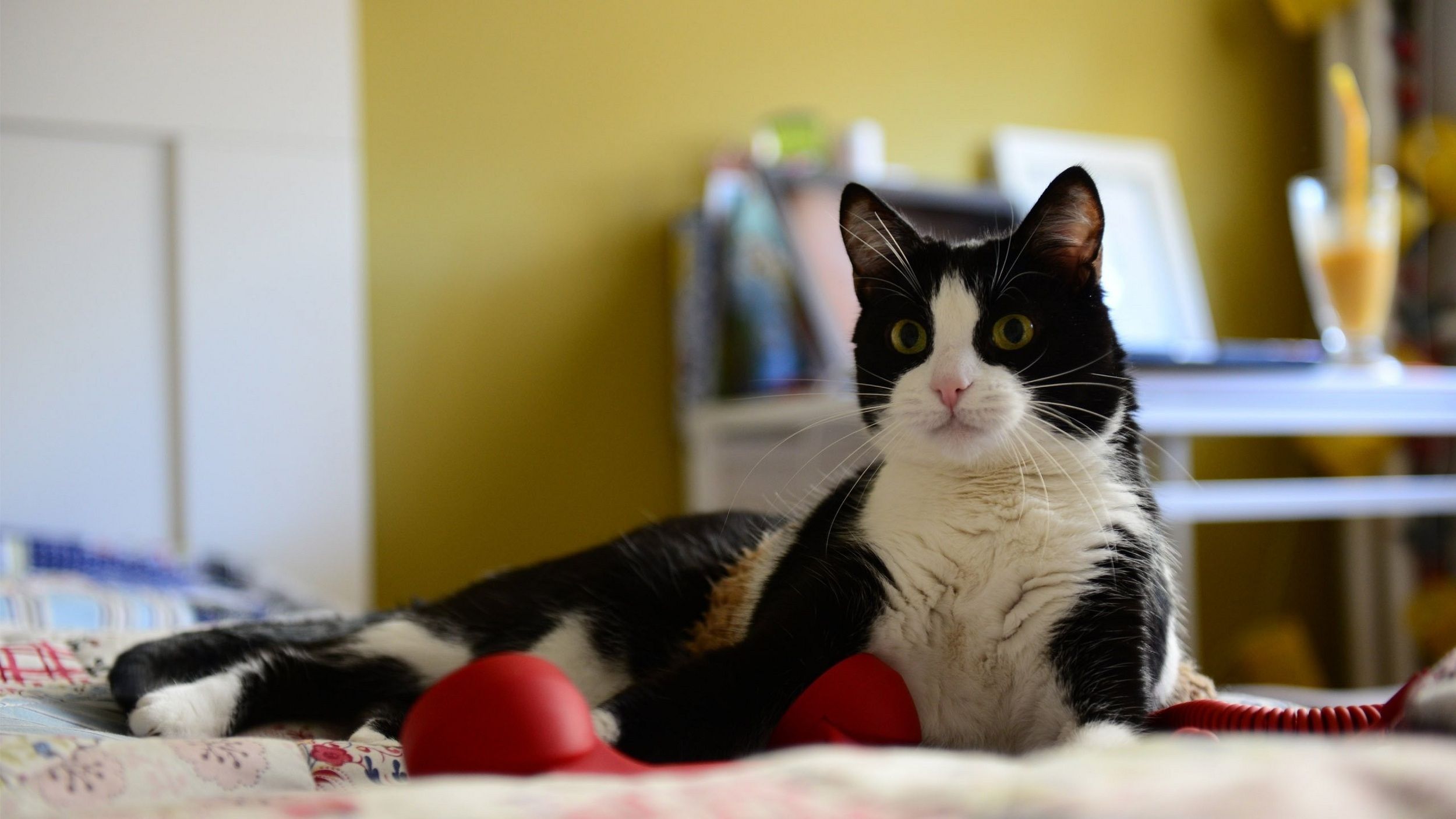 Учені розповіли, чому не варто зловживати постільним режимом - фото 1