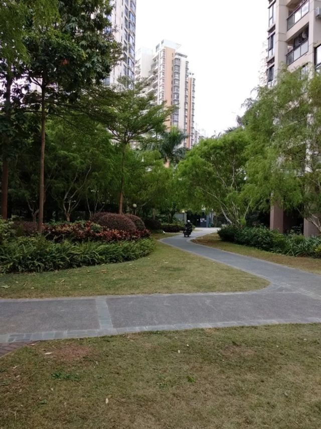 Камеру Xiaomi Redmi 5 Plus випробували в реальних умовах - фото 215839