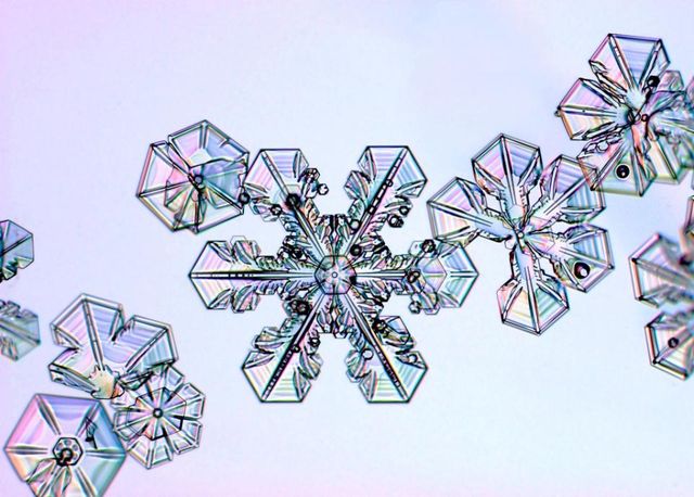 У каліфорнійській лабораторії виростили найбільшу в світі сніжинку - фото 217825