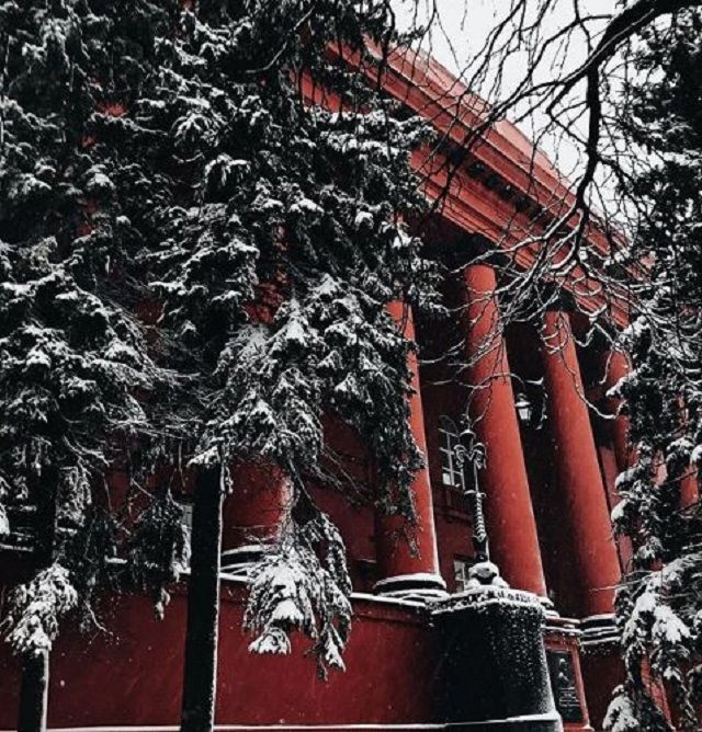 Київ замело снігом - фото 1