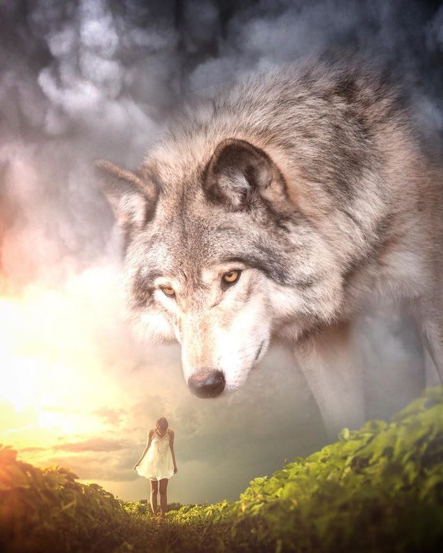 Eben McCrimmon - фото 217813