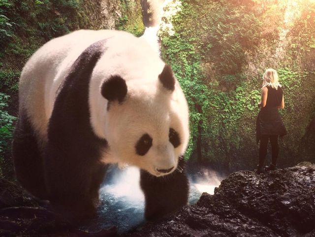 Eben McCrimmon - фото 217817