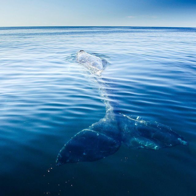 Florian Schulz - фото 217192