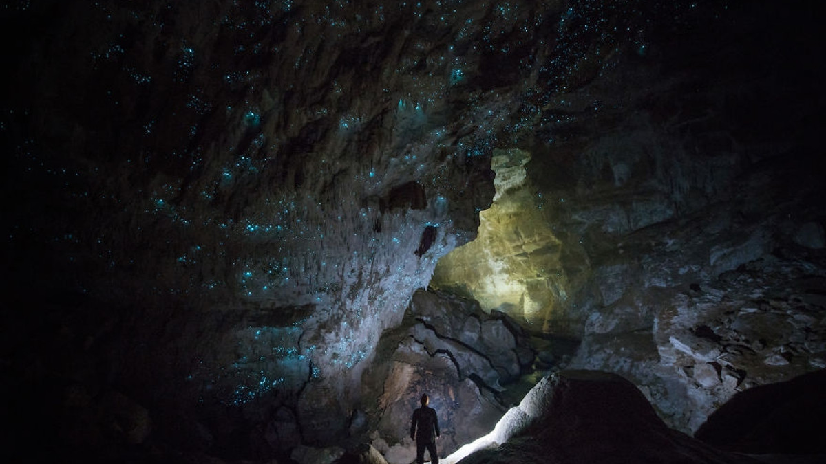 Дайвер зняв унікальні печери Нової Зеландії - фото 1