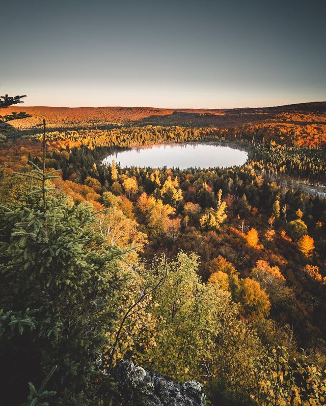 Joe Altwies- фото 216800