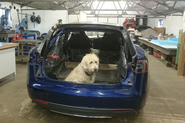 Британець удосконалив Tesla Model S задля свого собаки - фото 215761