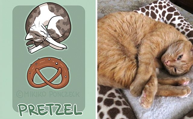 Кіт-брецель - фото 212563