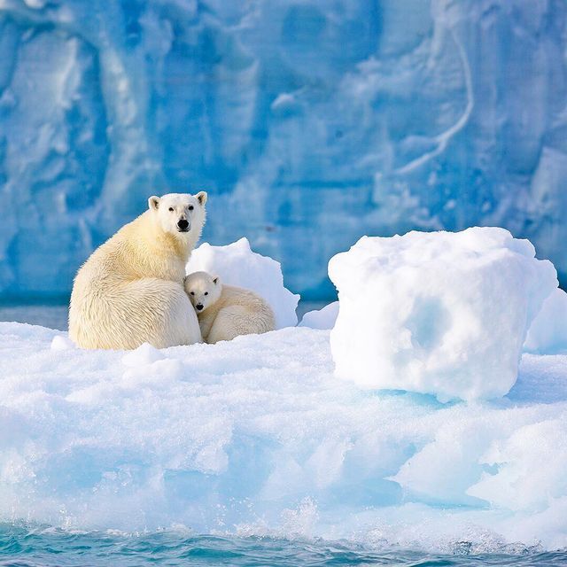 Florian Schulz - фото 217193