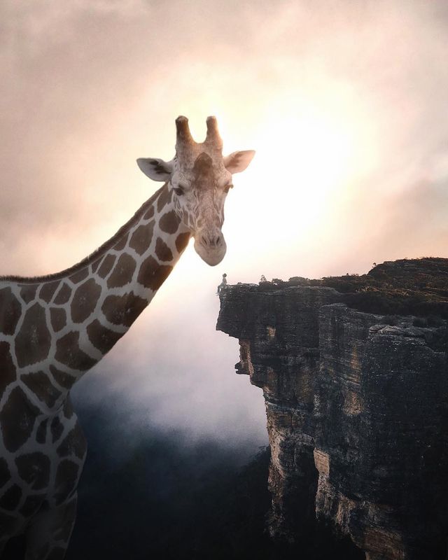 Eben McCrimmon - фото 217800