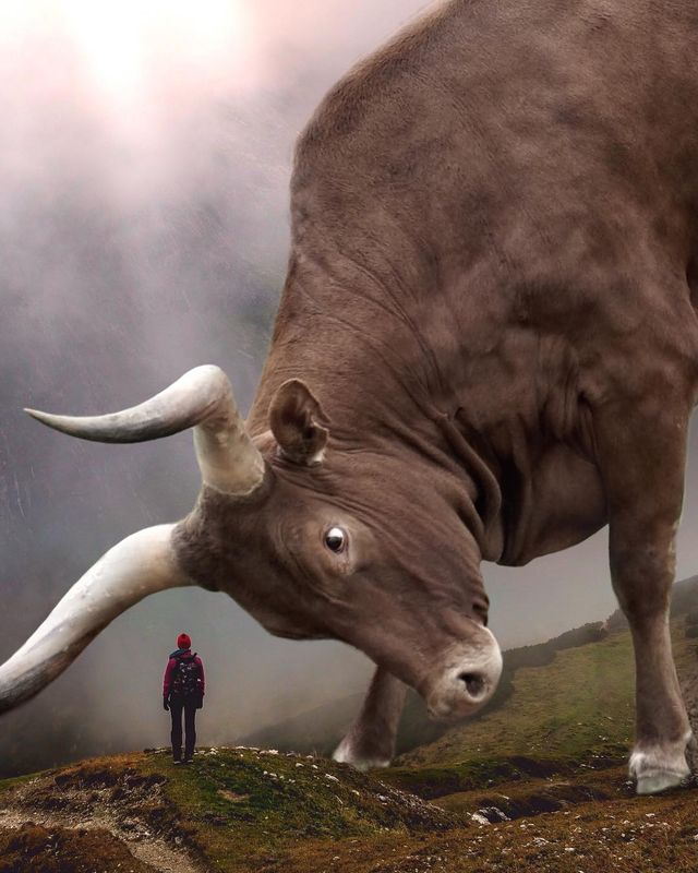 Eben McCrimmon - фото 217806