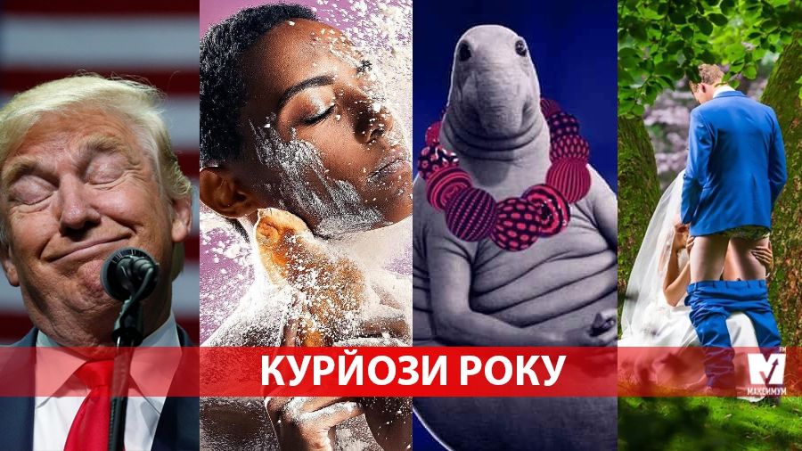 17 курйозів року, які розсмішать вас до сліз