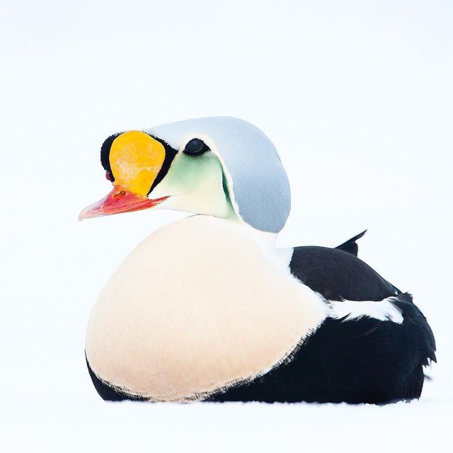 Florian Schulz - фото 217189