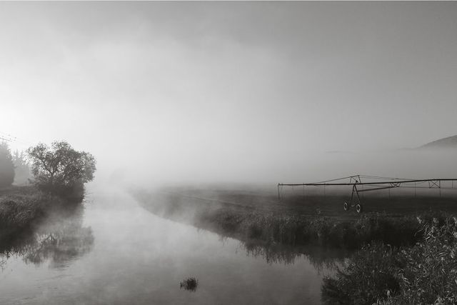 Як виглядає щорічна міграція журавлів - фото 217295