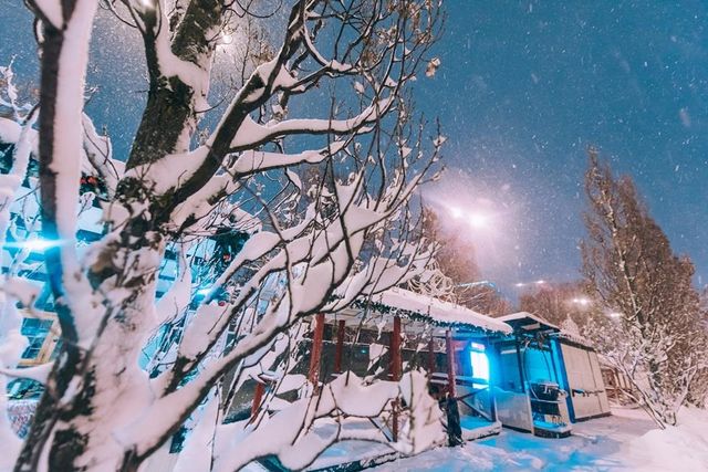 Новорічний Київ- фото 215923